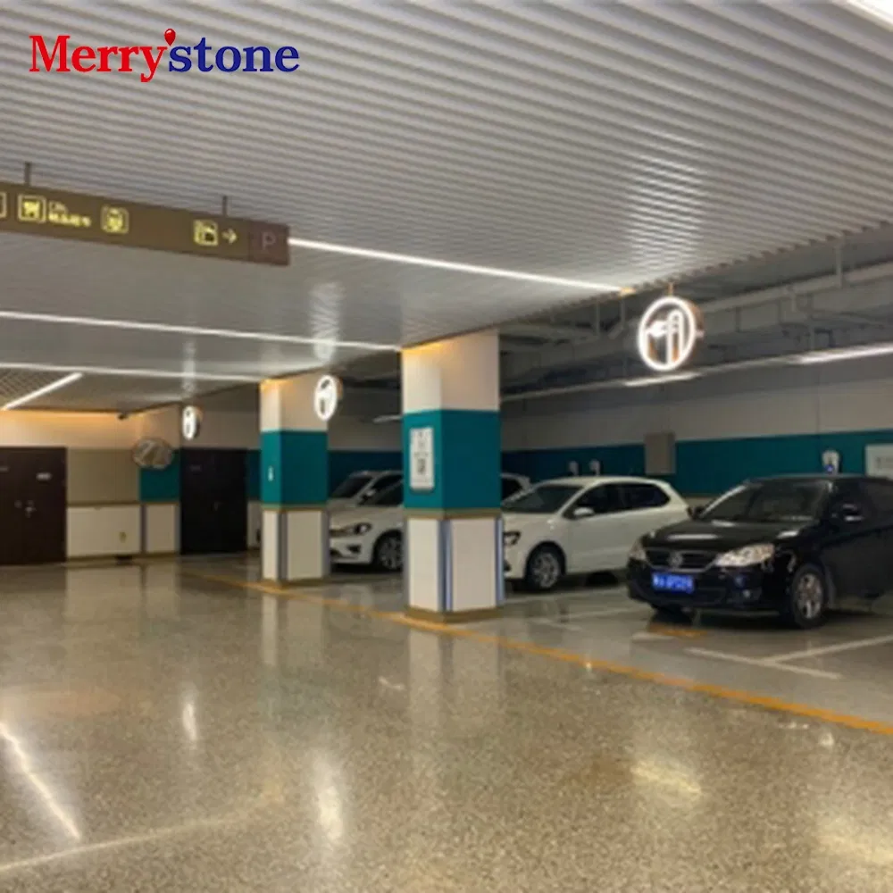 Decorativeepoxy Polished Terrazzo Flooring System Used for Airports and Transport Hubs
