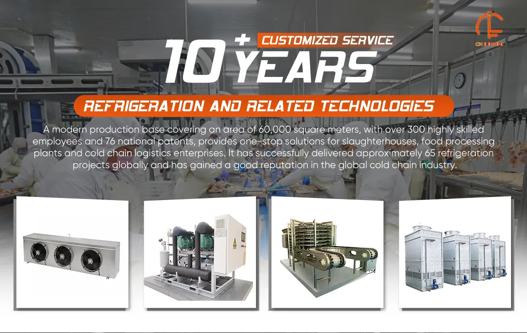 Industrial Belt Conveyor System