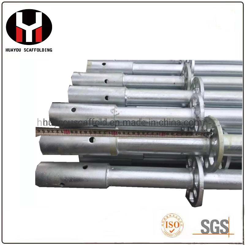 Competitive Layher Scaffolding Price Ringlock Scaffolding System on Sale