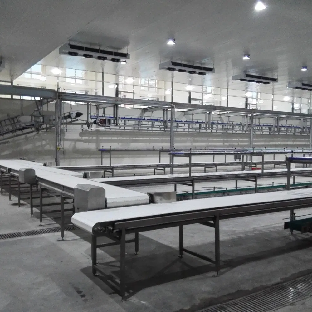 Automatic Factory Production Transport Equipment Material Handling Solution Industrial Belt Conveyor System