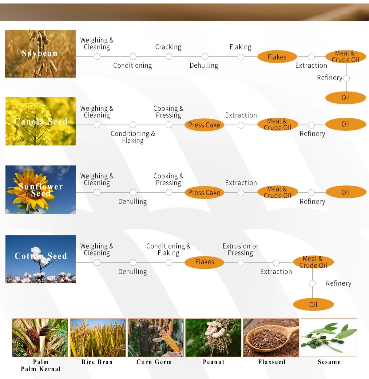 Processing Plant Layout
