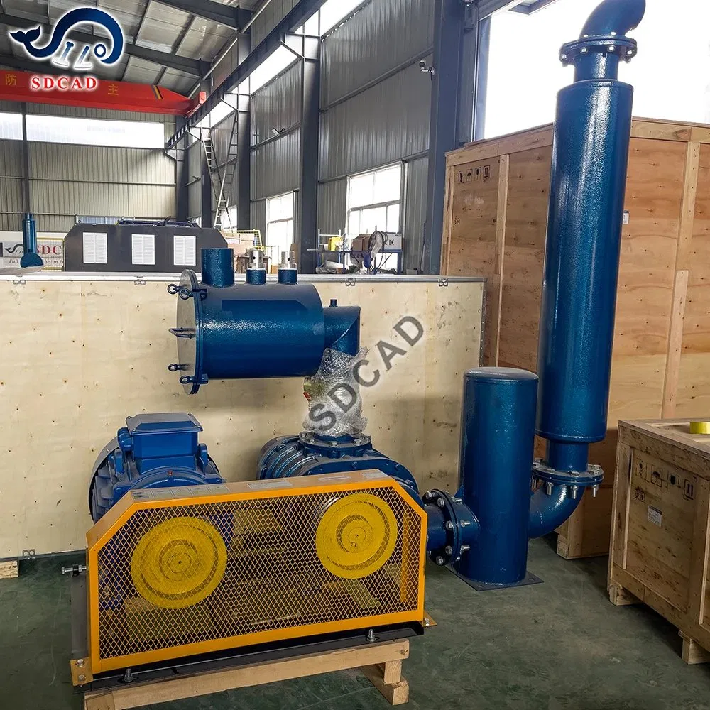 Industrial Pneumatic Conveying System Featuring Fully Enclosed Pipeline Design for Dust-Free Bulk Material Handling