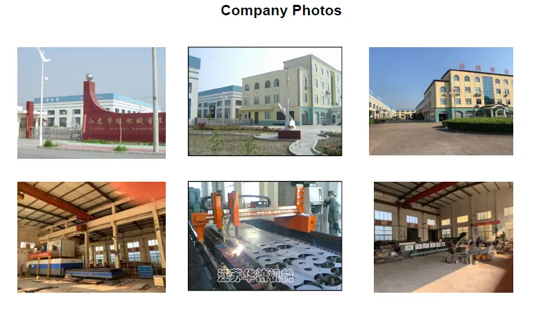 Conveyor System Gallery 6