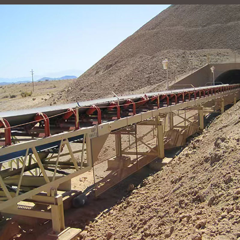 Heavy Duty Steel Industry Belt Conveyor System with Cema Standard