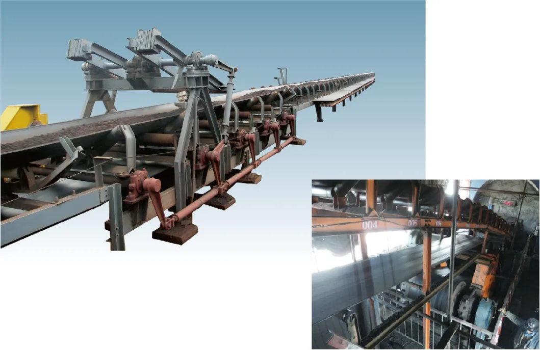 Fixed Belt Conveyor