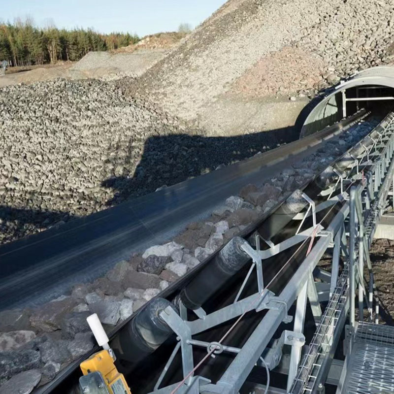 Heavy Duty Steel Industry Belt Conveyor System with Cema Standard