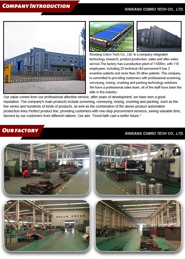 Vibrating Screen Detail 2