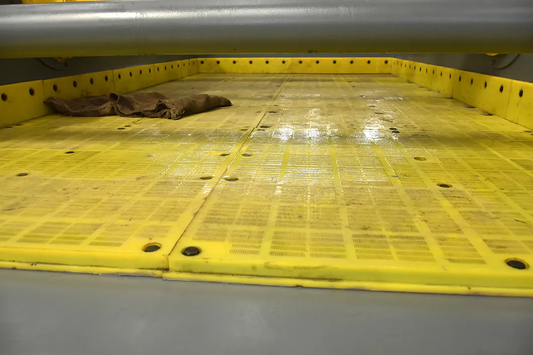 Dewatering Screen Display 4