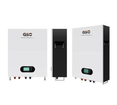 LiFePO4 Solar Lithium Ion Battery Pack 100ah 200ah 24V 48V 2.5kw 5kw Rack Mounted Lithium Battery