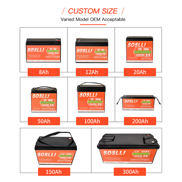 Lifepo4 24V 100ah 200ah 250ah 300ah 400ah Solar Batterie Wall Mounted Lifepo4 Lithium Battery Pack 24V 200ah 300ah 400ah 600ah