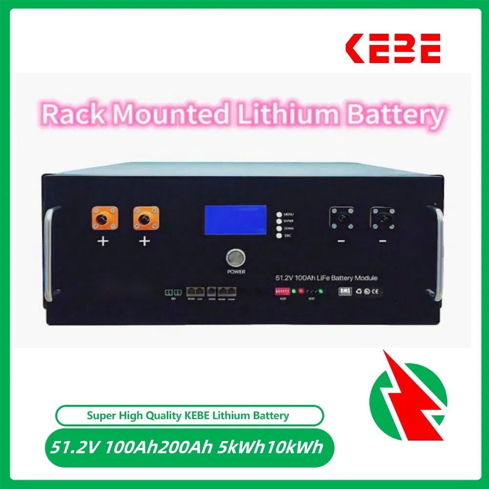 10kwh Lithium Ion Battery 51.2V200ah Solar Power Energy Storage Rack Mounted Deep Cycle LiFePO4 Rechargeable Battery