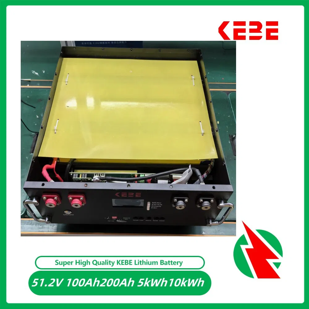 10kwh Lithium Ion Battery 51.2V200ah Solar Power Energy Storage Rack Mounted Deep Cycle LiFePO4 Rechargeable Battery