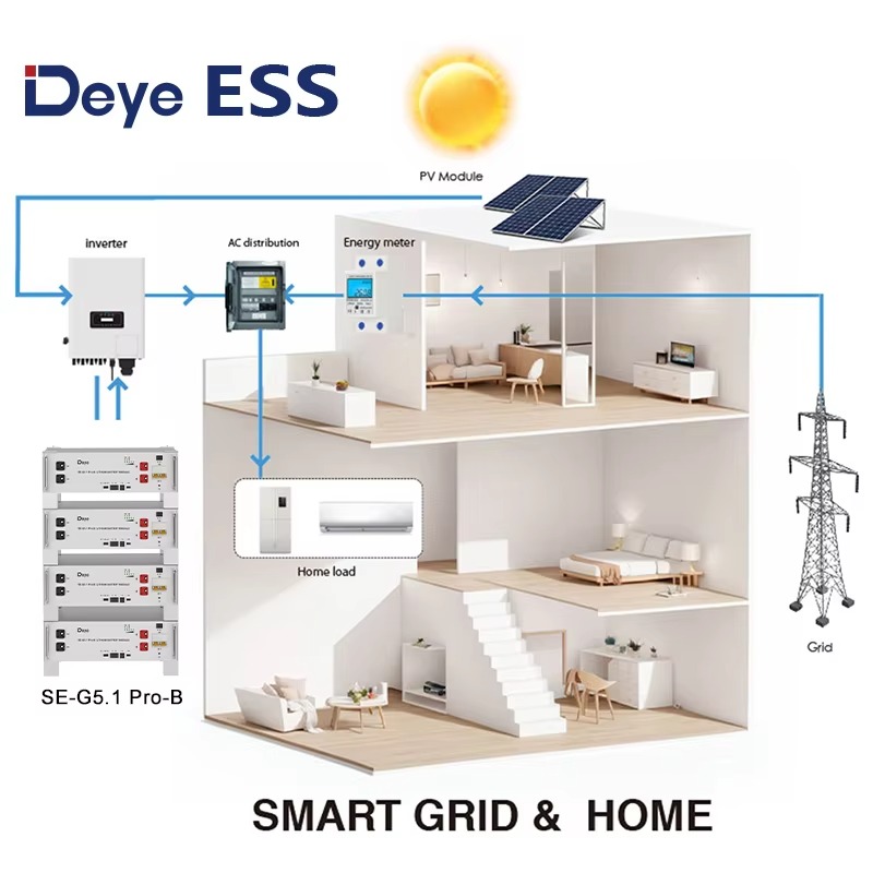 EU Warehouse Deye SE-G5.1 Pro-B Low Voltage Lithium Battery 5kw 10kw 15kw 20kw 51.2V Solar LiFePO4 Battery for Home System