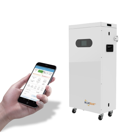 Bluesun 51.2V 314Ah Low Voltage LiFePO4 Battery Long Lifes 6000 Cycles for Solar Energy System