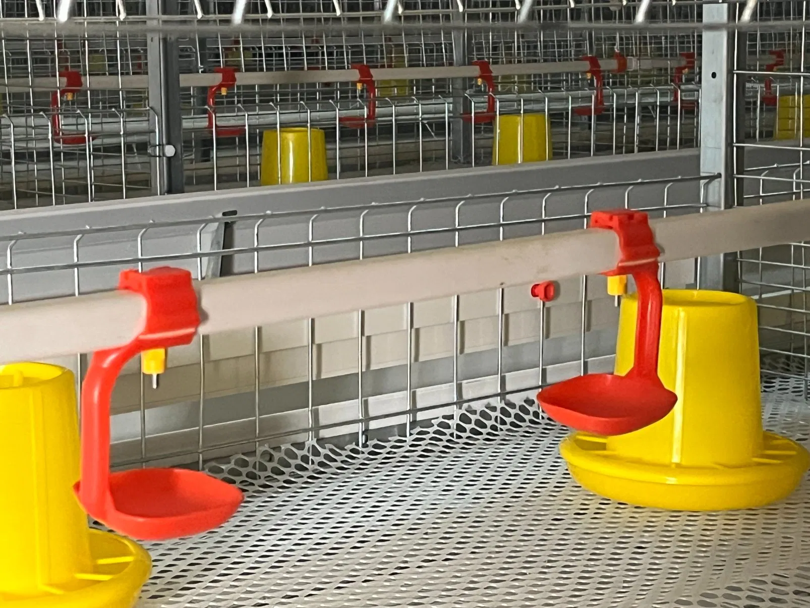 Automated Poultry Farming Equipment for Sale