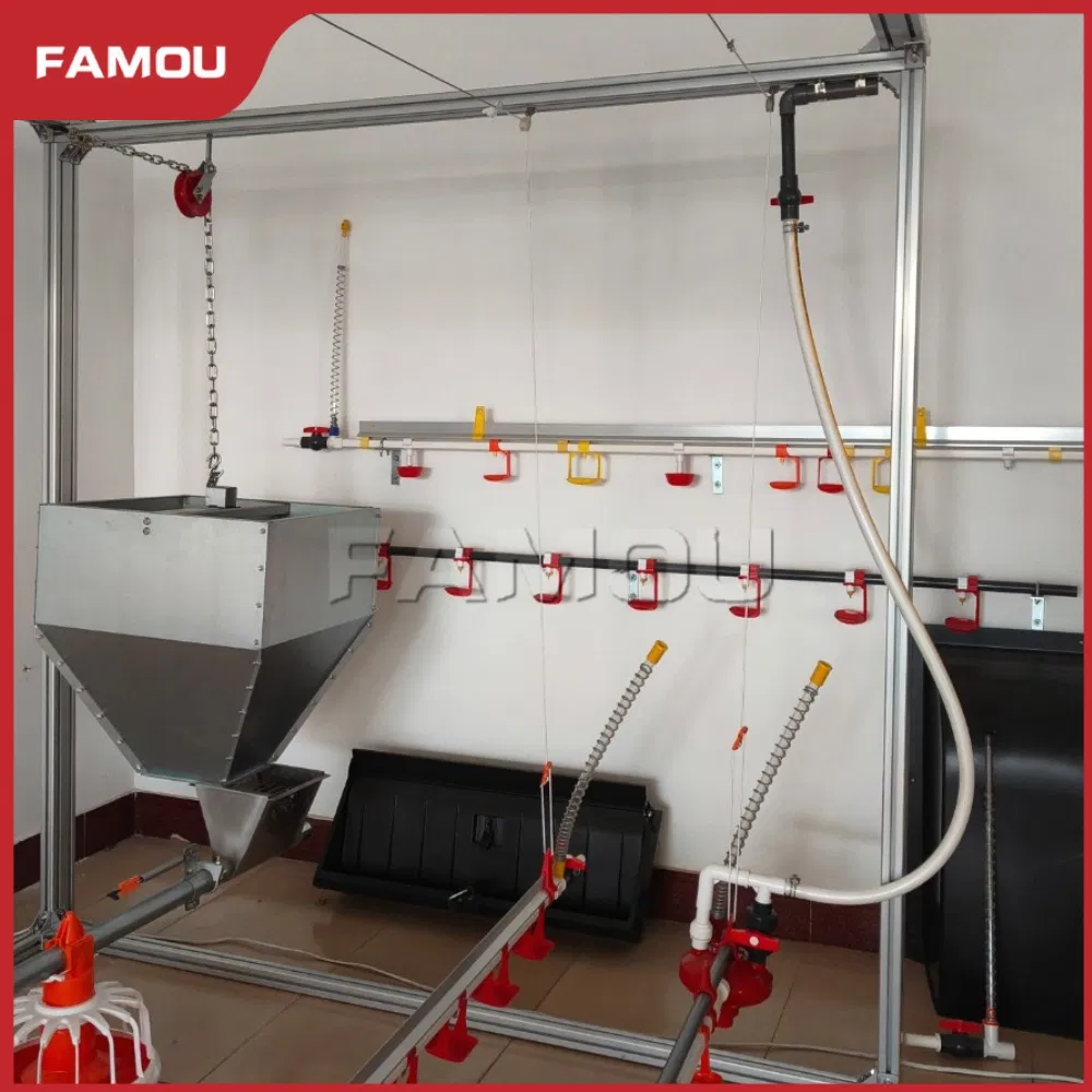Poultry Broiler Floor Raising Equipment with High-Performance Chain Feeding System