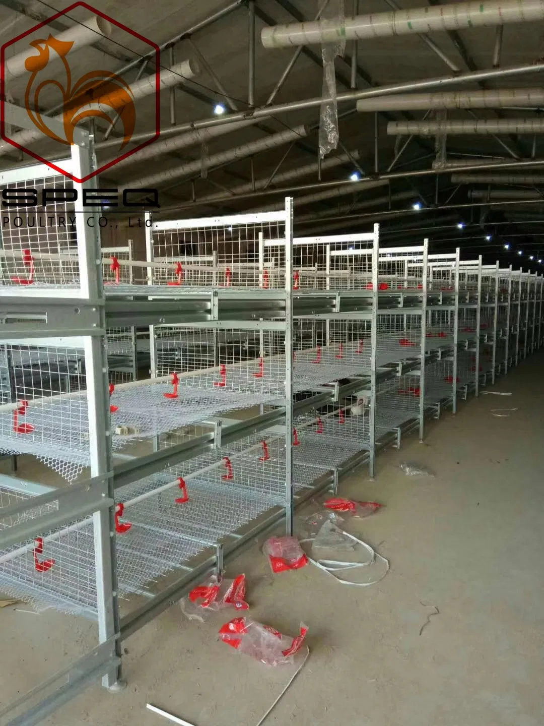Automated Poultry Farming Equipment for Sale