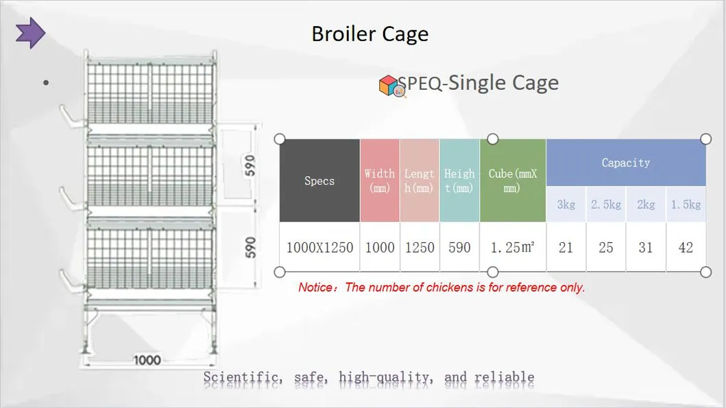 Broiler Cage System 1