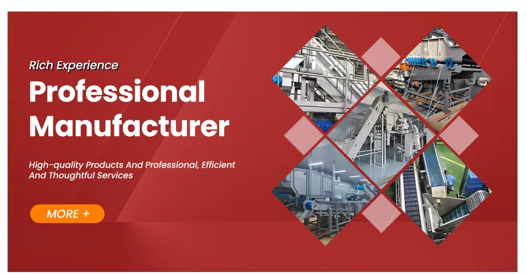 Automatic French Fries Equipment