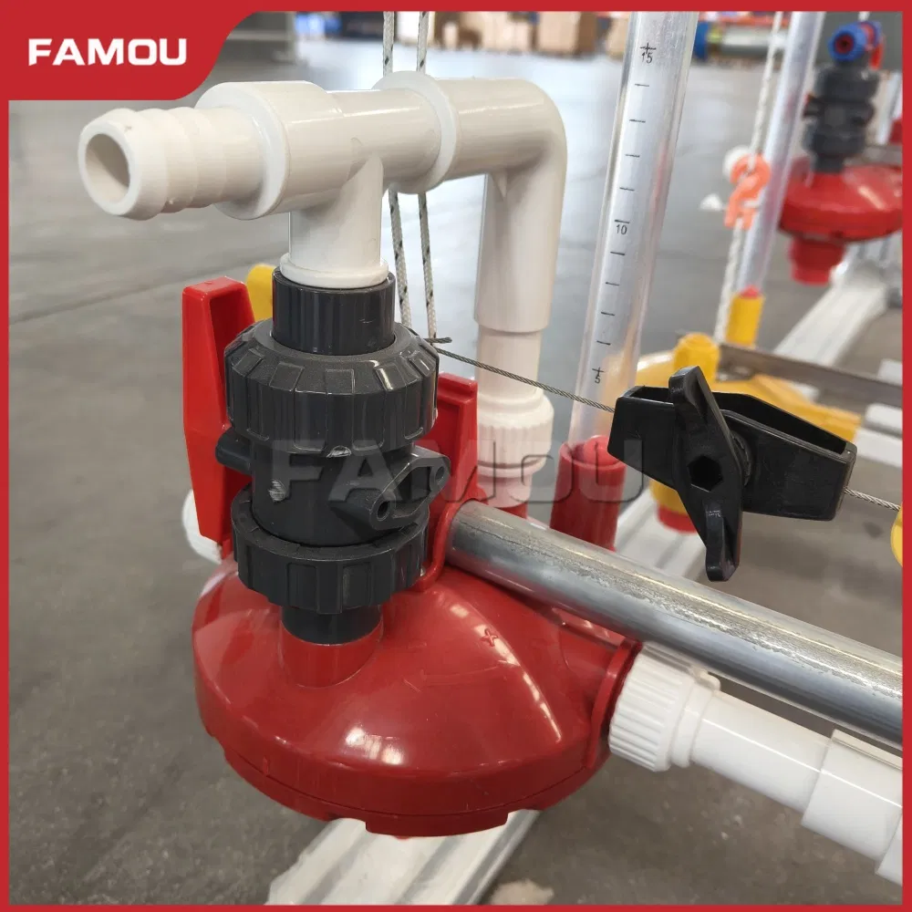 Poultry Broiler Floor Raising Equipment with High-Performance Chain Feeding System