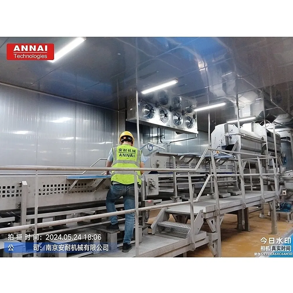 Automatic French Fries Equipment for Integrated Food Plants