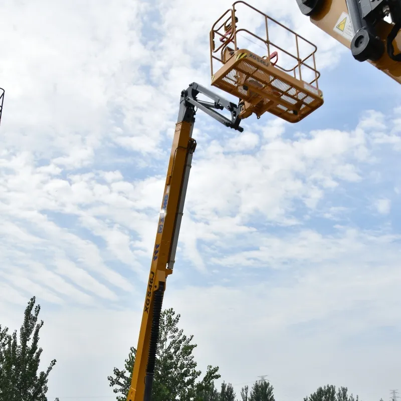Aerial Work Platform Detail 5