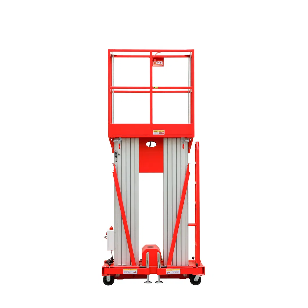 Double Mast Vertical Lift