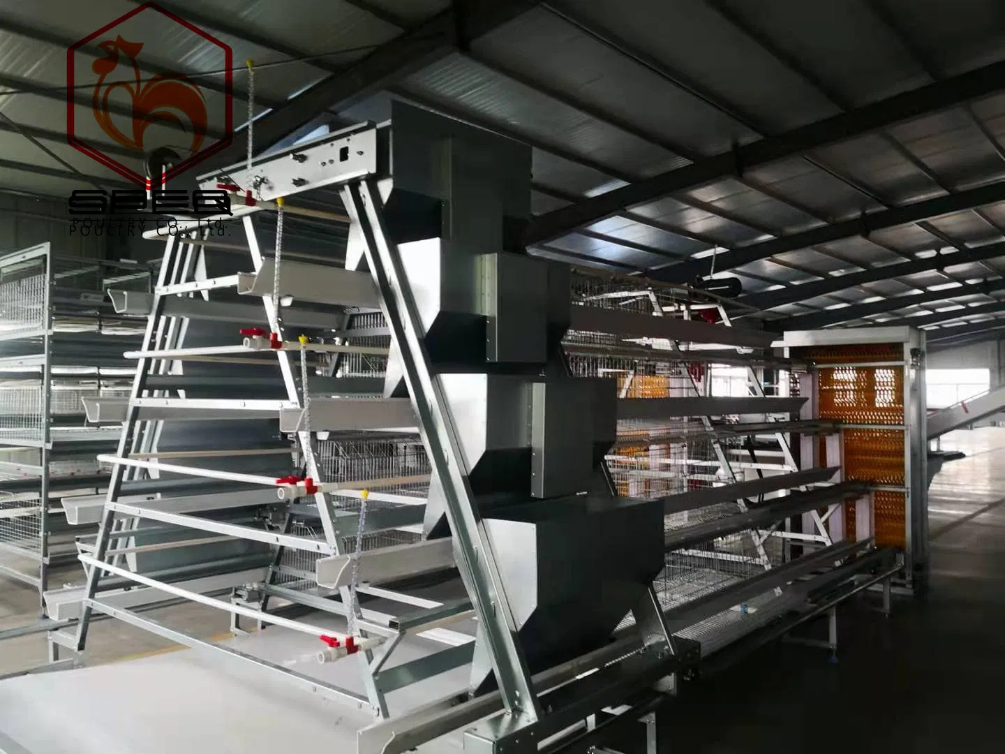 Automated Poultry Farming Equipment for Sale