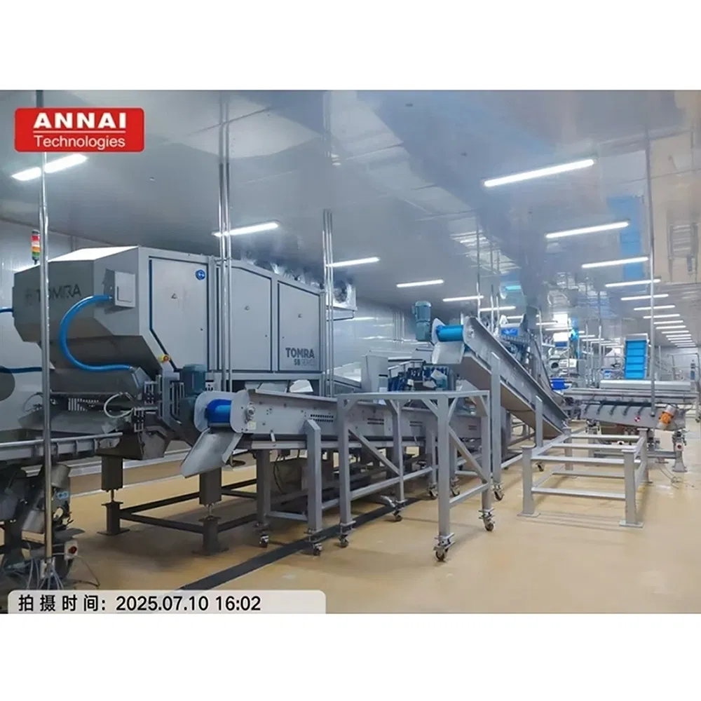 Automatic French Fries Equipment for Integrated Food Plants