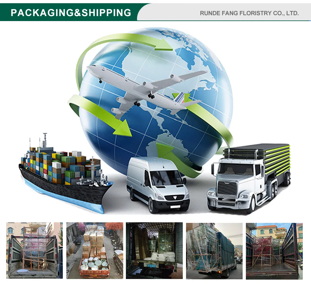 Packaging and Shipping