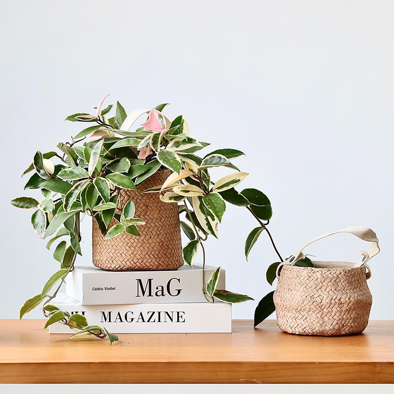 Stylish Modern Cement Hanging Planters for Home and Garden