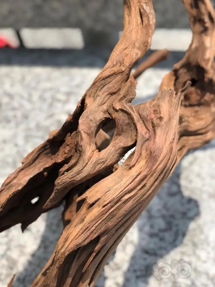 Natural Aquarium Driftwood Assorted Branches Reptile Ornament for Fish Tank Decoration Pack of 3