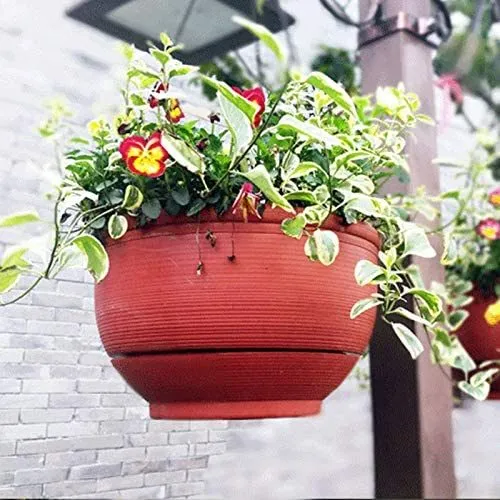 Hanging Planter 1