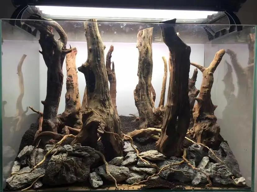 Natural Aquarium Driftwood Assorted Branches Reptile Ornament for Fish Tank Decoration Pack of 3