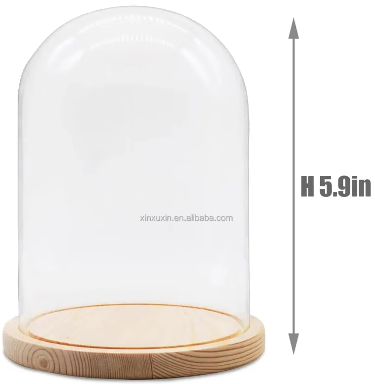 Clear Glass Dome Decoration 9