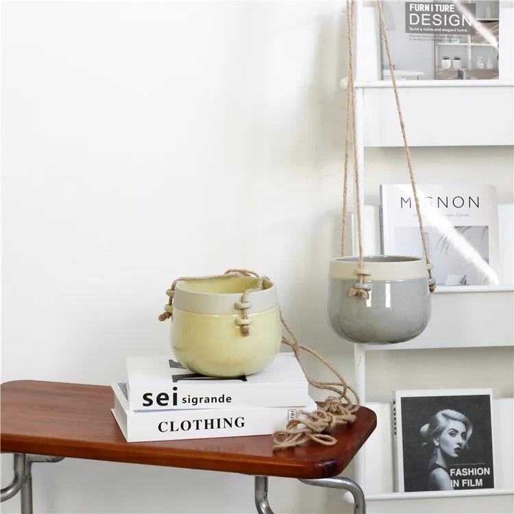 Indoor Plant Decoration