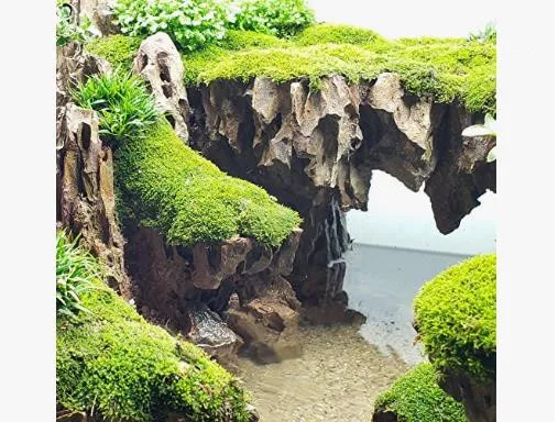 Natural Stone Landscaping