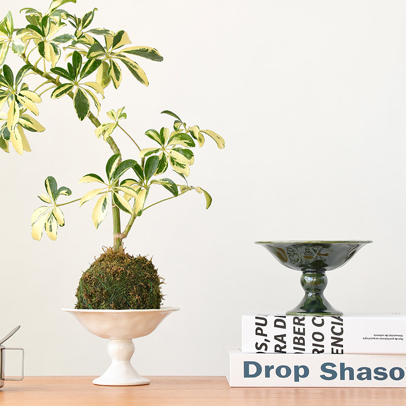 Green Wabi-Sabi Style Flower Pot for Bathroom Decor