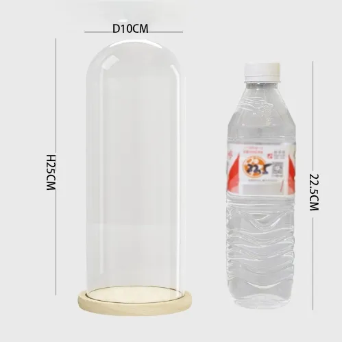 Clear Glass Dome Decoration 5