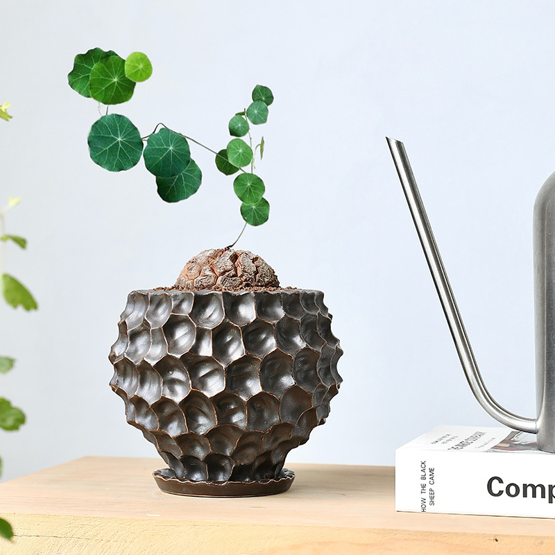 Modern Ceramic Planter: Black and Gold Durian Design for Home