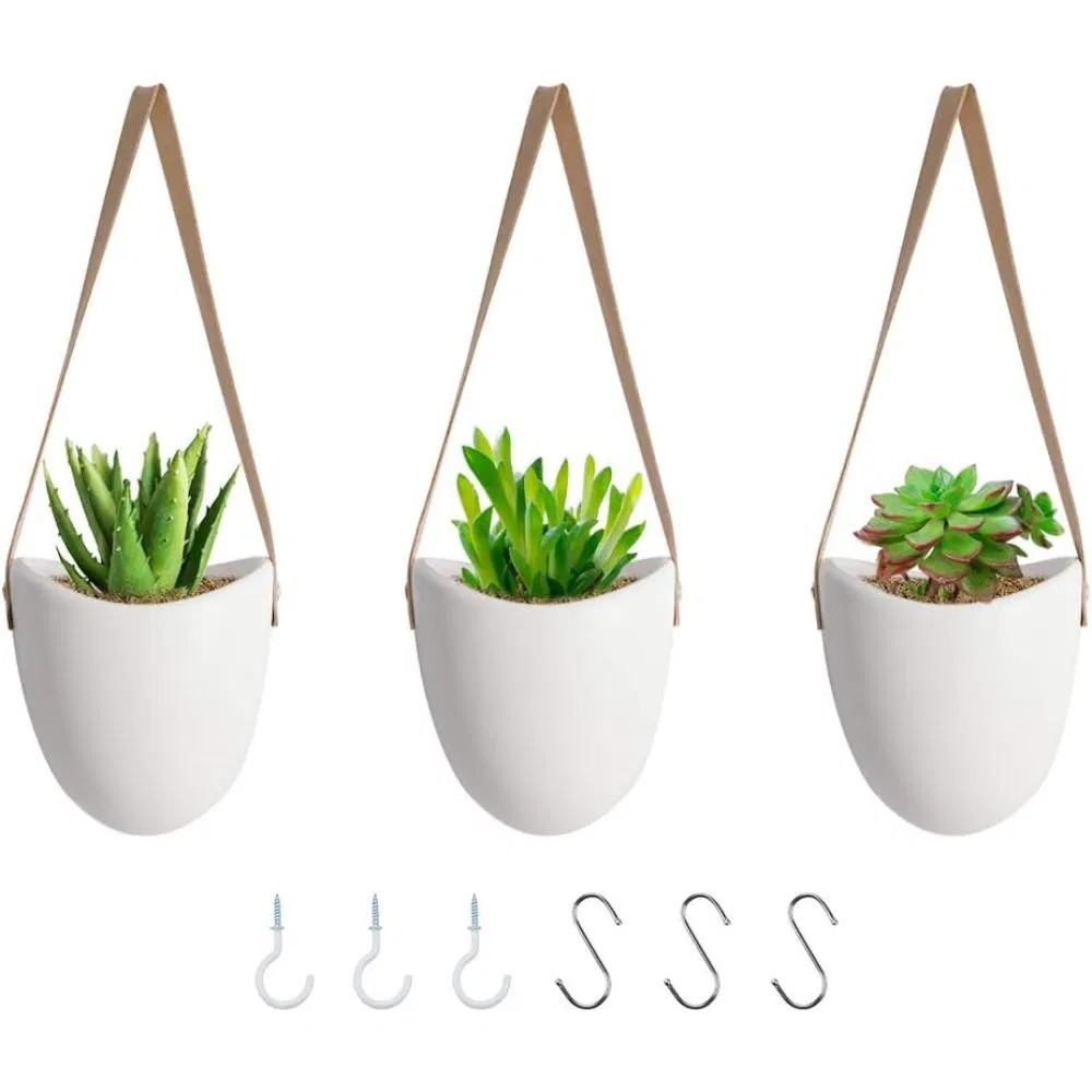 Hanging Planter with Hooks Wall Hanging Self-Watering Planter Ci17465