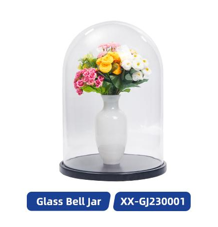 High Transparency Glass Dome with Base for Decorative Flowers