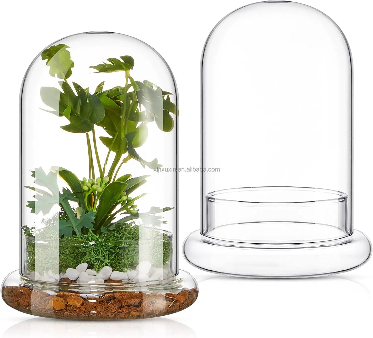High Transparency Glass Dome with Base for Decorative Flowers