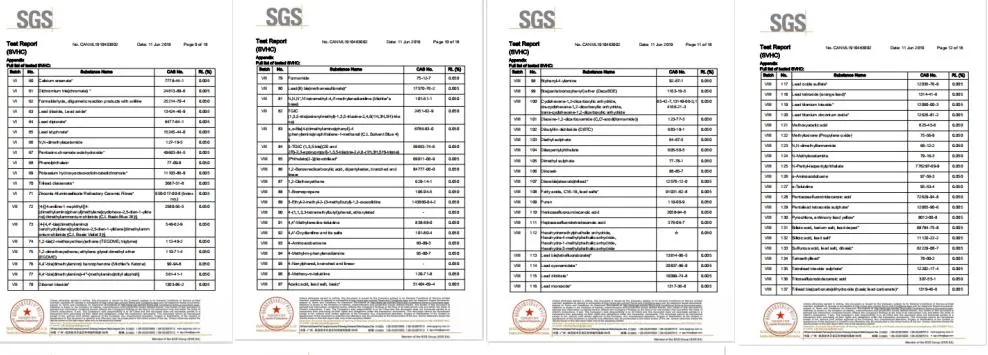 SGS Report 3