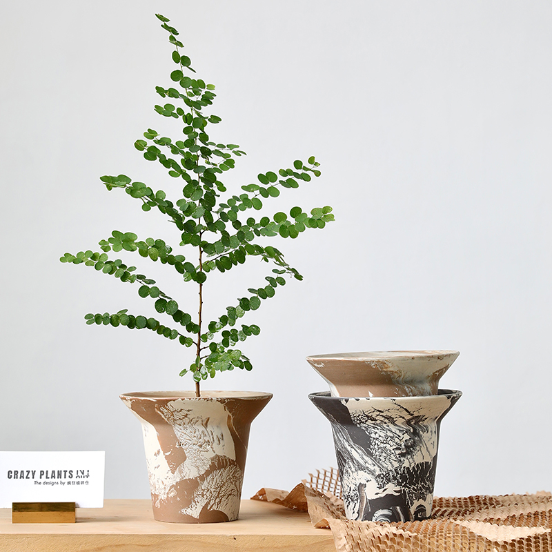 Unique Textured Succulent Planter for Stylish Home Decor