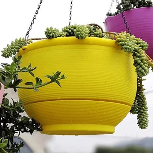 Hanging Planter 6