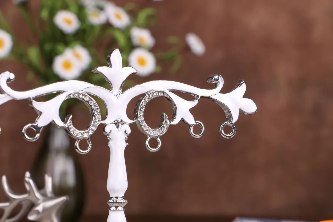 Jewelry Display Rack 4