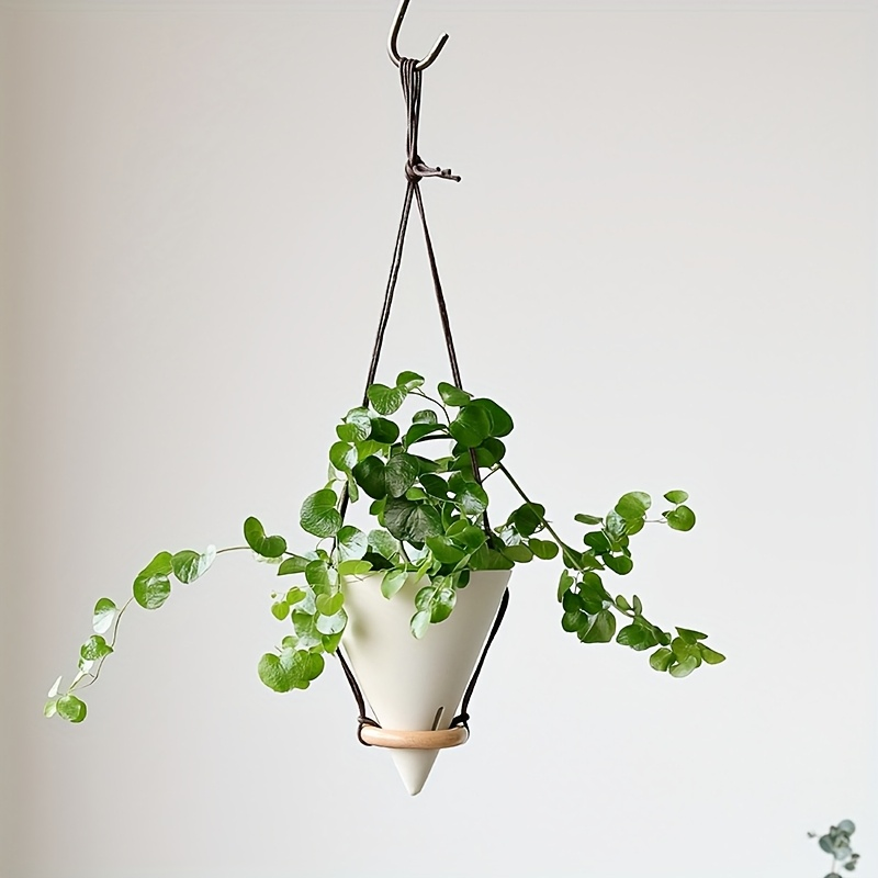Modern Conical Wall Planter with Rope for Beautiful Indoor Gardens