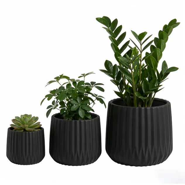 Ceramic Pot Collection 1