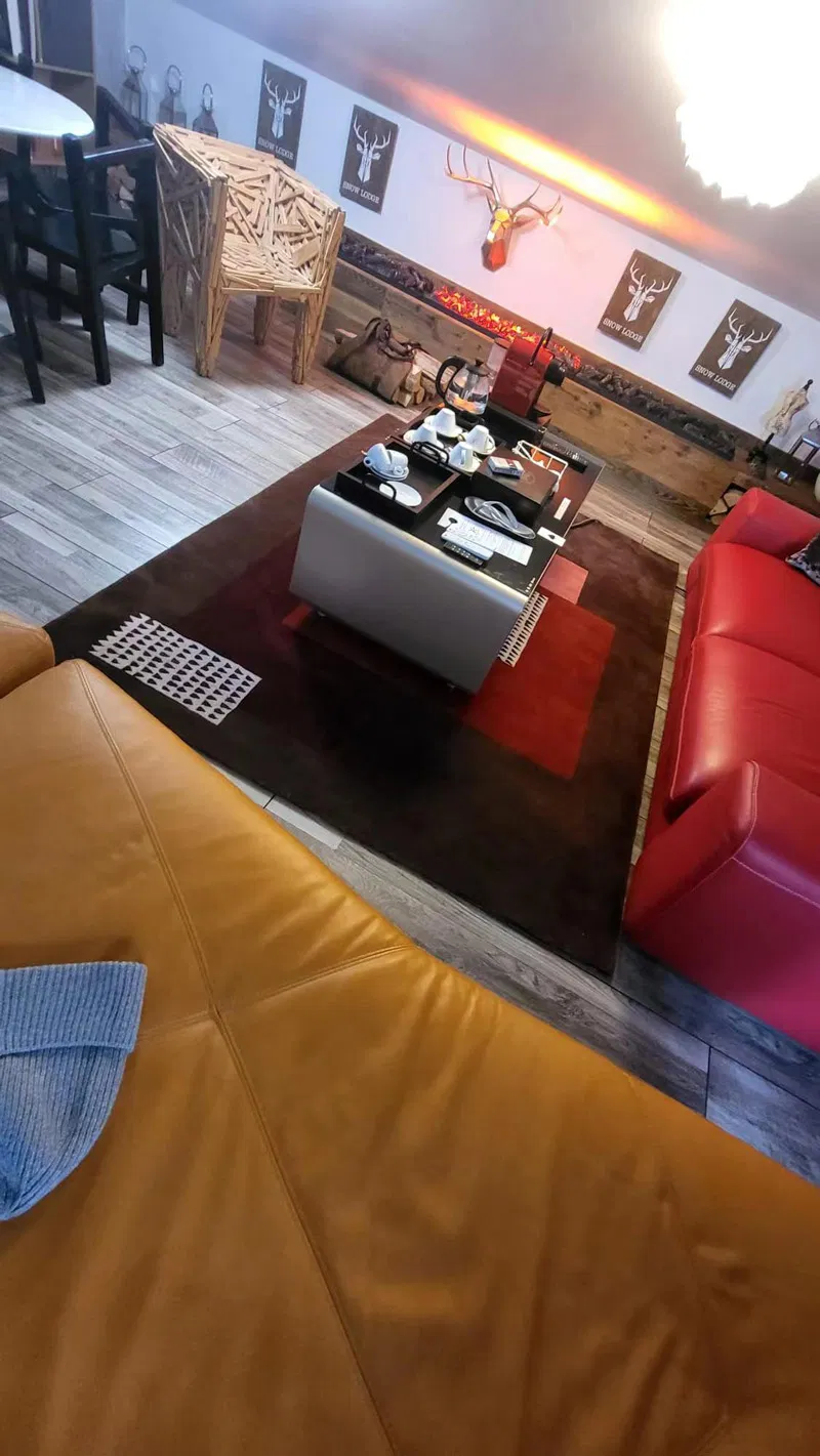 Factory Supplying Bedroom Roll Carpet Home Carpets Living Room Decoration